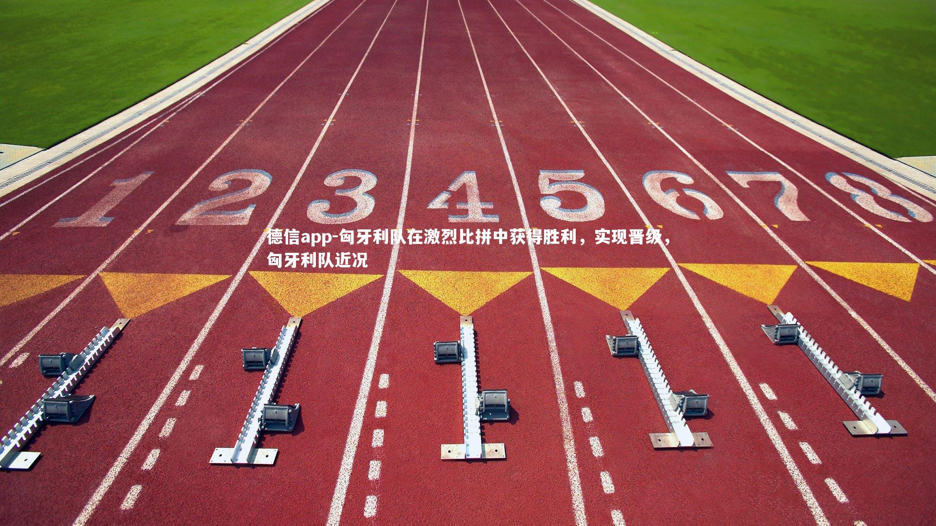 德信app-匈牙利队在激烈比拼中获得胜利，实现晋级，匈牙利队近况