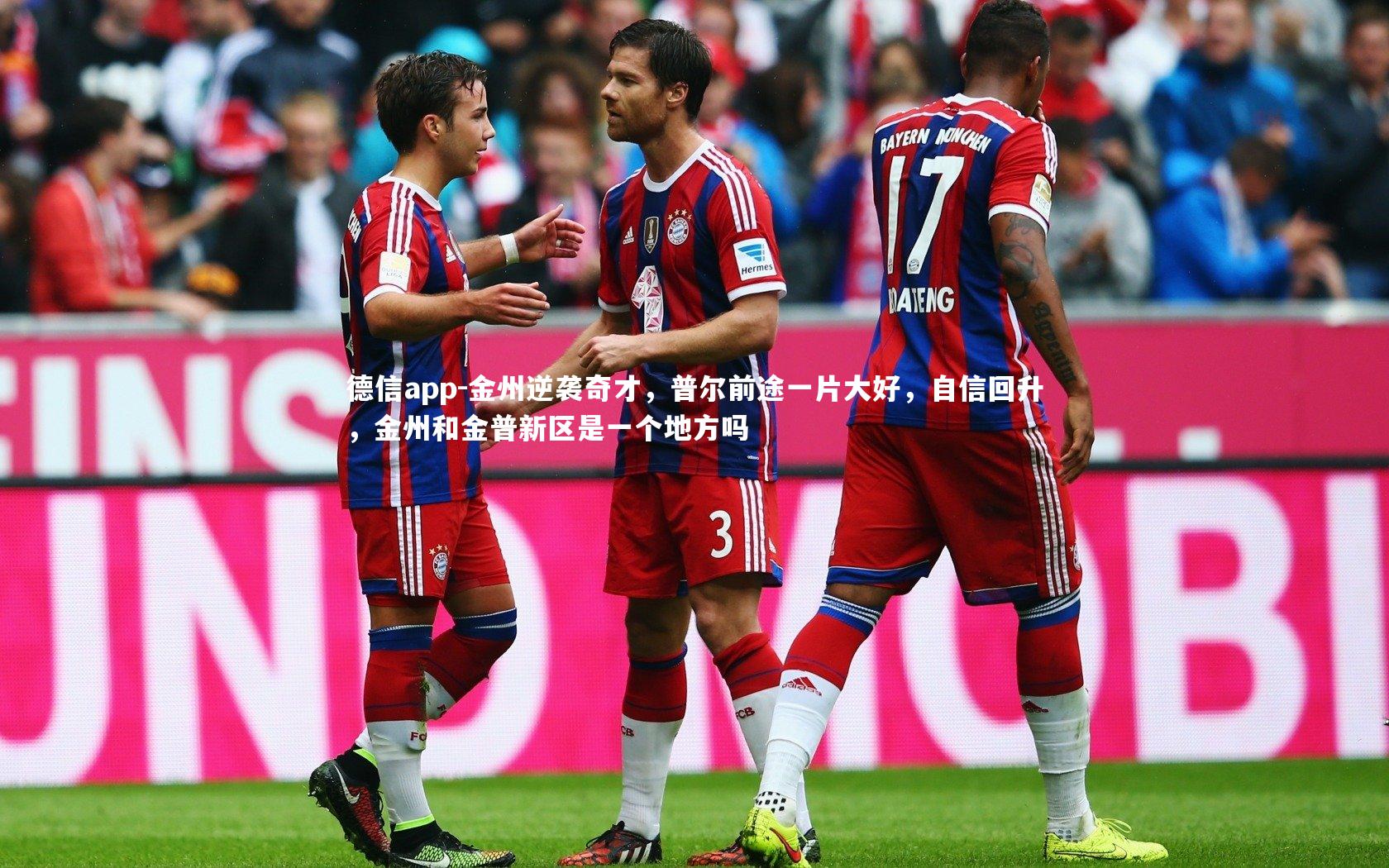 德信app-金州逆袭奇才，普尔前途一片大好，自信回升，金州和金普新区是一个地方吗