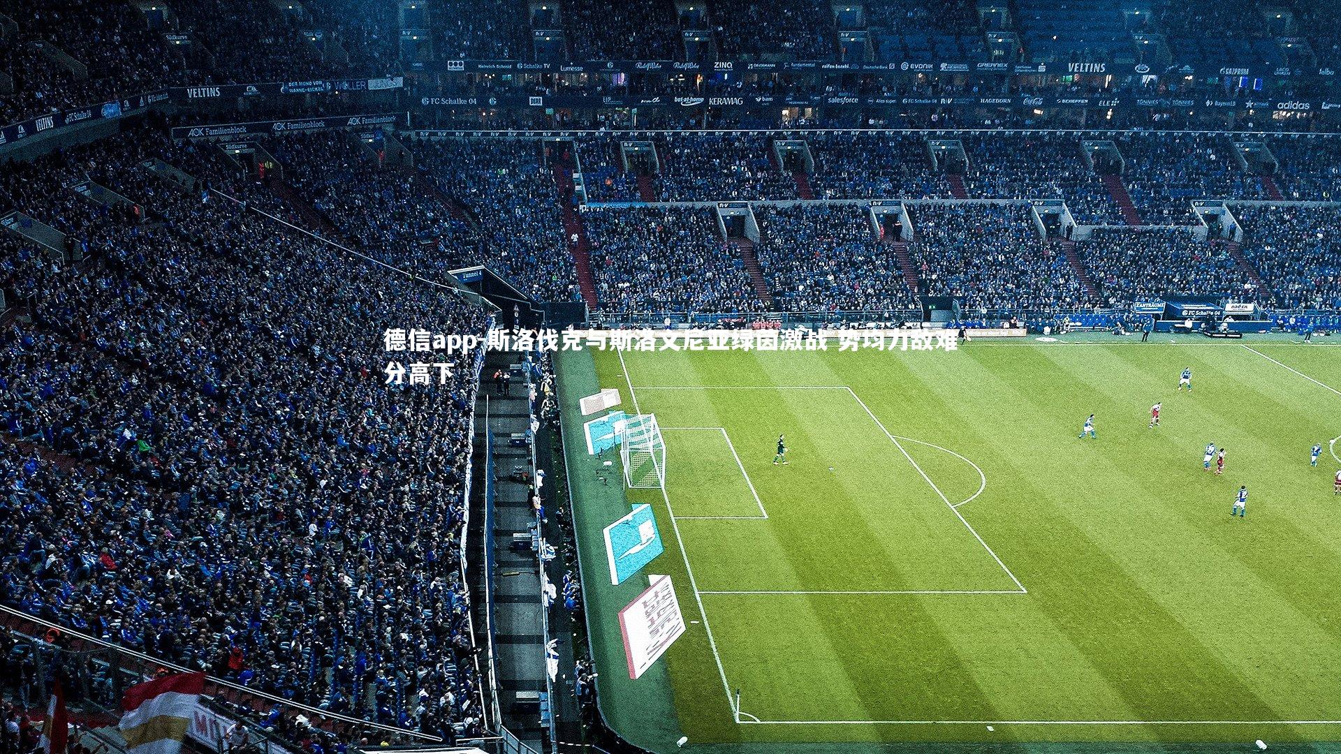 德信app-斯洛伐克与斯洛文尼亚绿茵激战 势均力敌难分高下